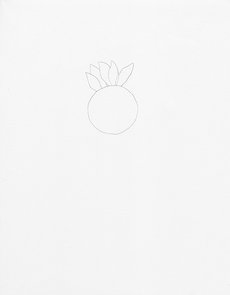 How to Draw a Sunflower