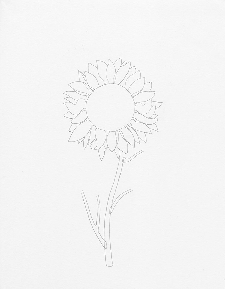 Sunflower Sketch Pencil Drawing