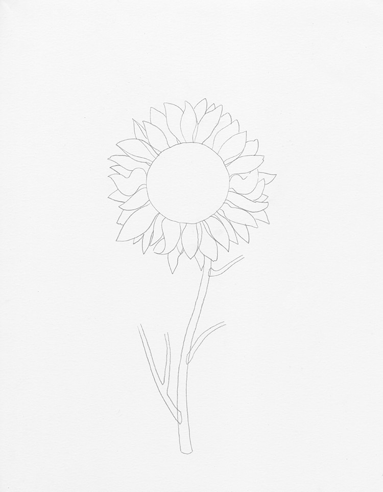 como dibujar un girasol