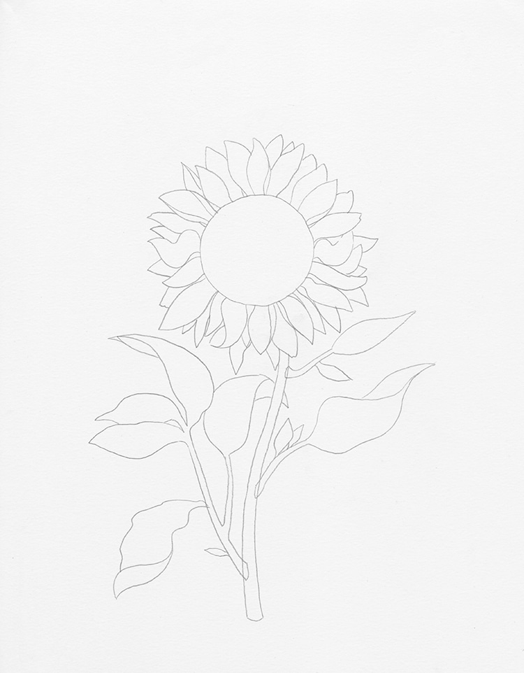 how to draw a sunflower 6