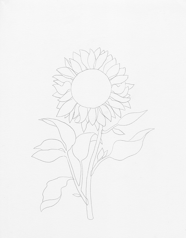 como dibujar un girasol