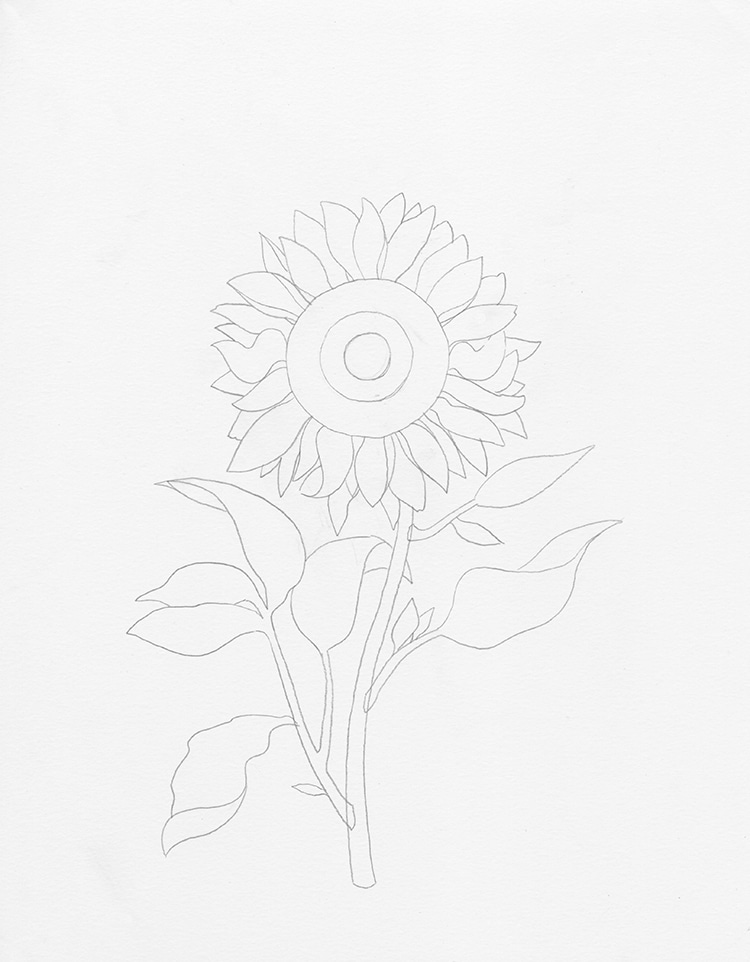 como dibujar un girasol