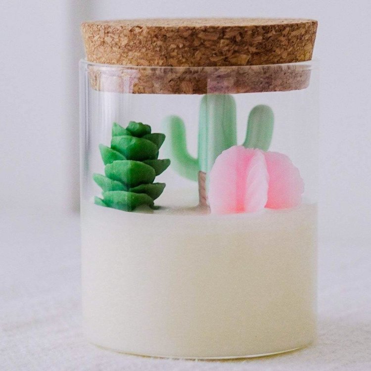 Cactus and Succulent Soy Container Candle 
