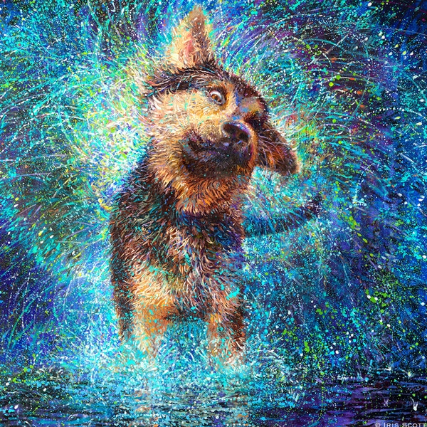 Shaking Dog by Iris Scott