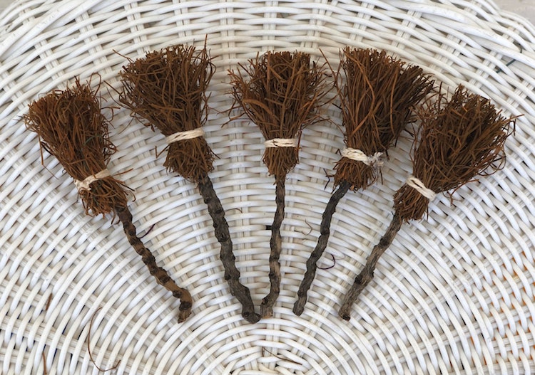 Mini Witch Brooms