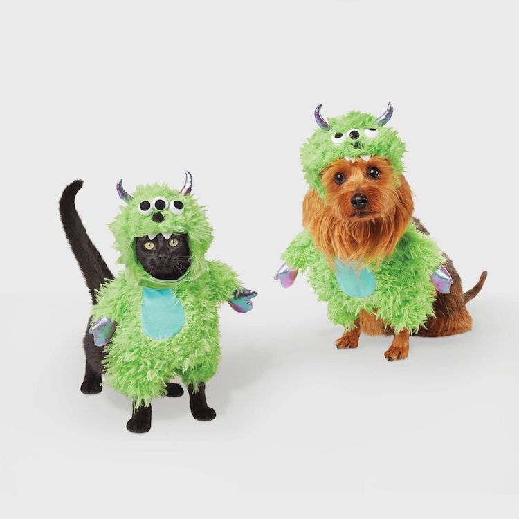 Monster Pet Costume
