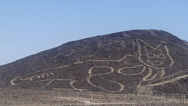 Cat Geoglyph at Nazca Lines