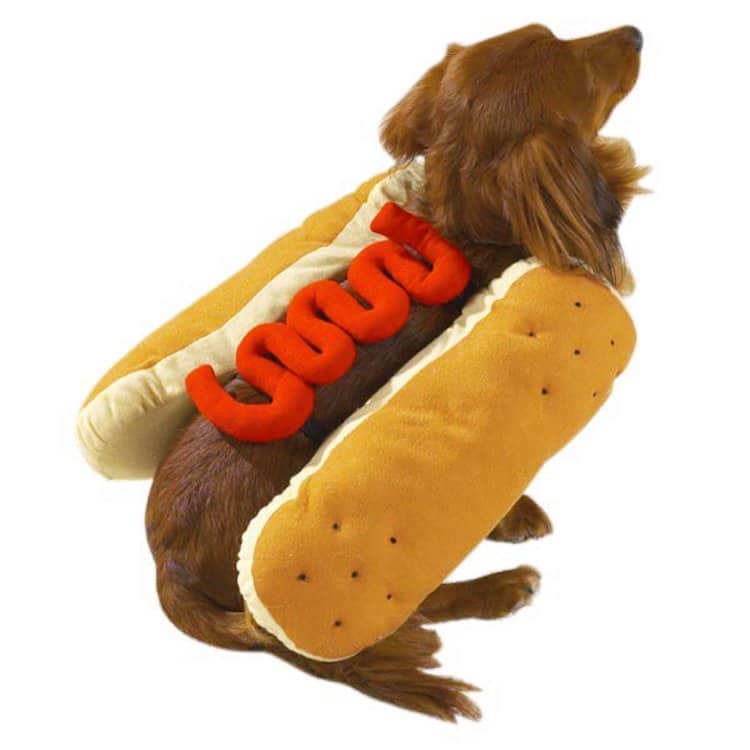 Disfraz para mascota de hotdog