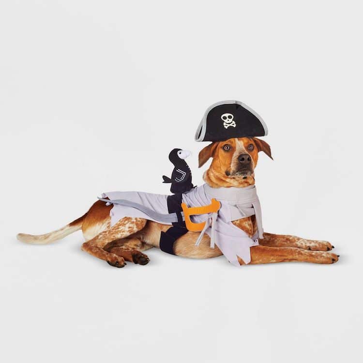Disfraz de pirata para perros