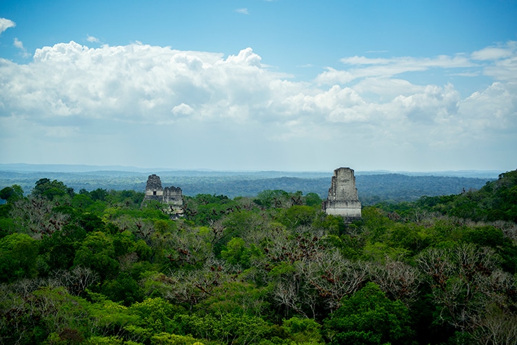 Tikal Forest Park Water