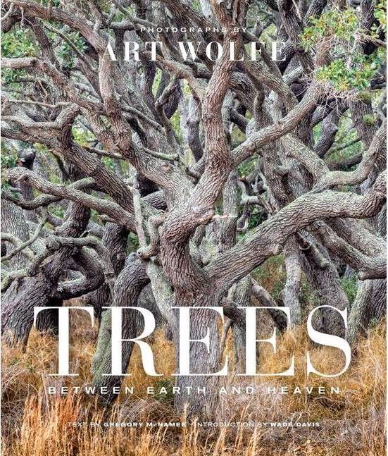 Trees Hardcover Book