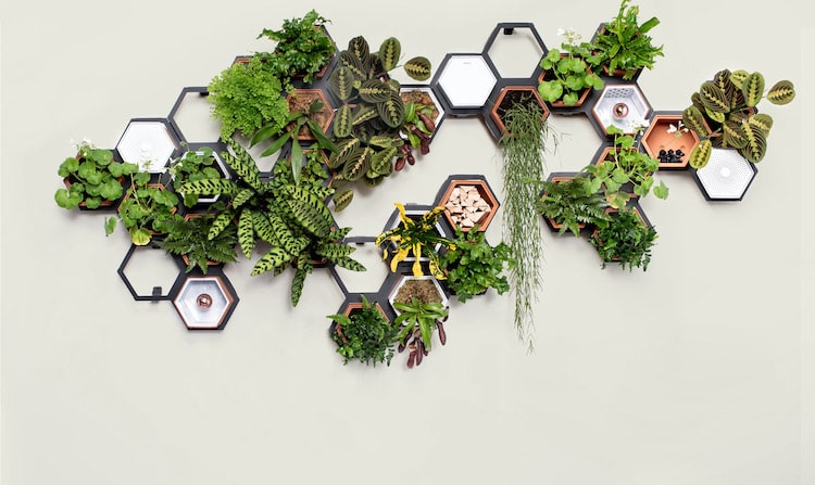 Large Modular Living Wall