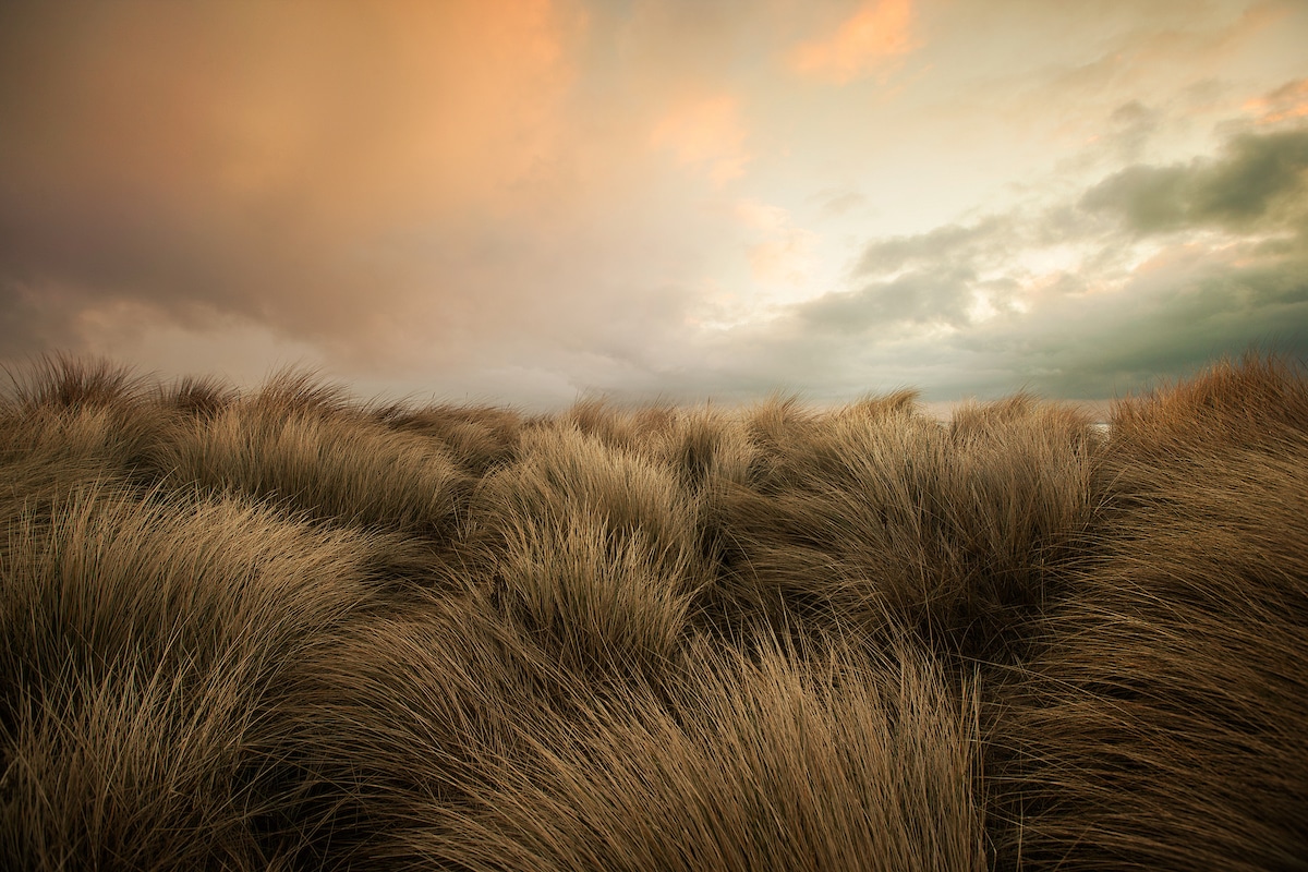 Eastern Coast of the United Kingdom