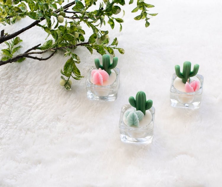 Cactus and Tealight Candles