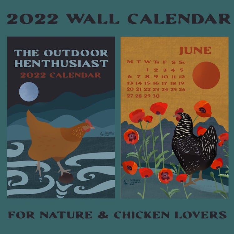 Chicken Calendar