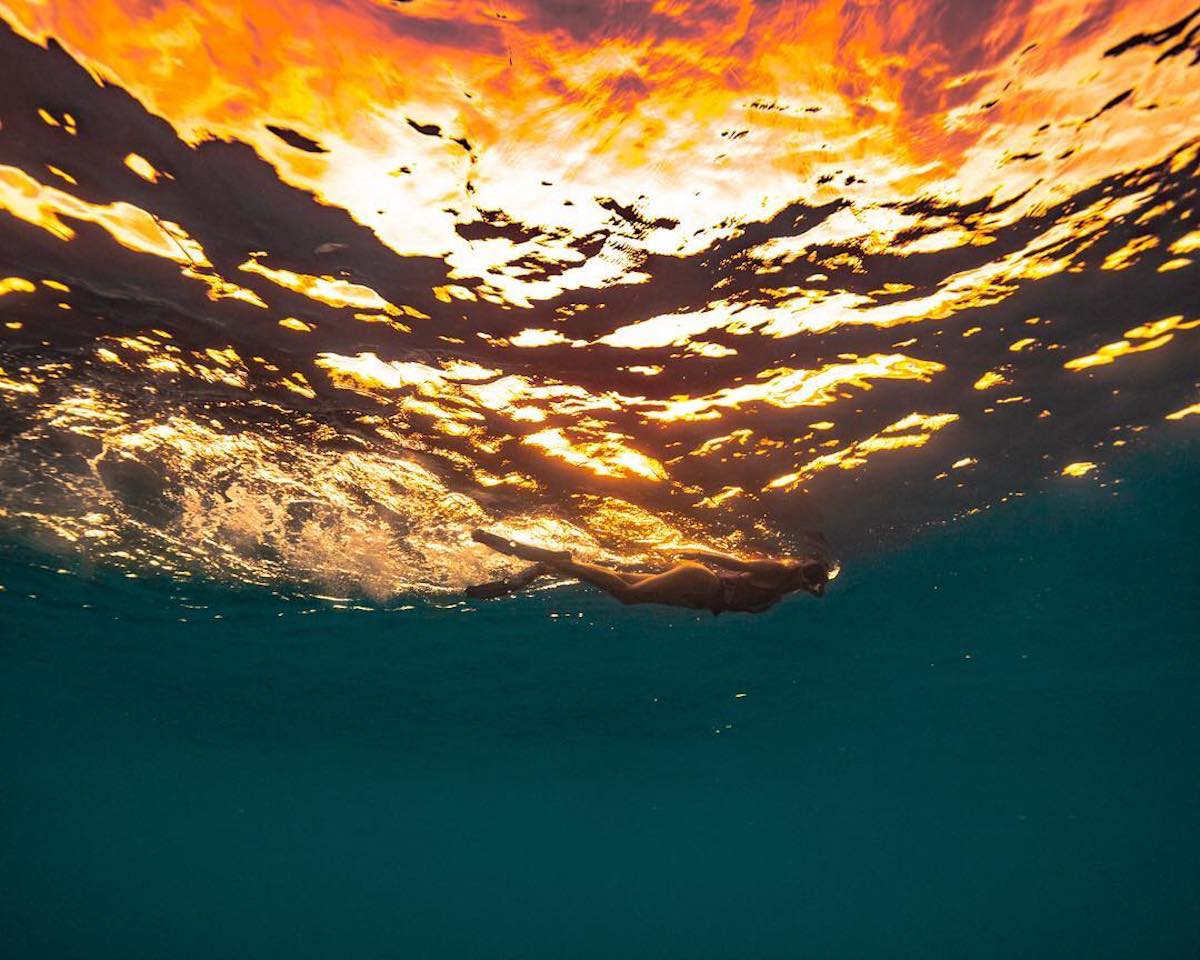 Underwater Ocean Photography Dan Legend