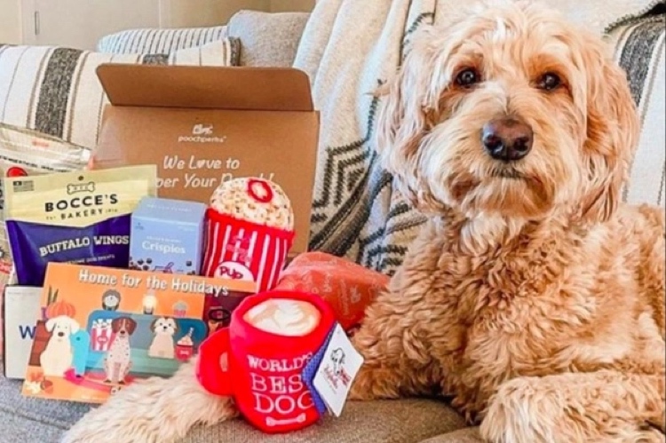Dog Lovers Subscription Box