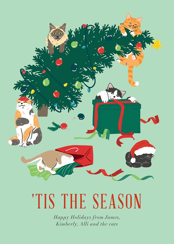 Funny Cat Christmas Card