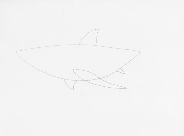 How to Draw a Shark