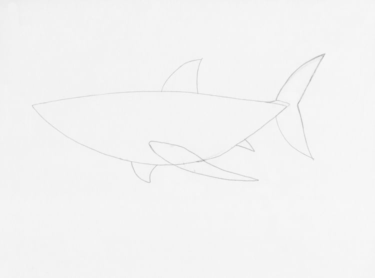 How to Draw a Shark