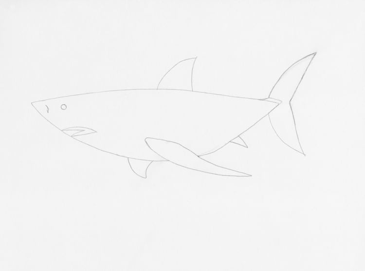 how to draw a shark step by step