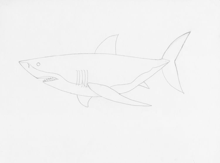 Stock Art Drawing of a Great White Shark - inkart