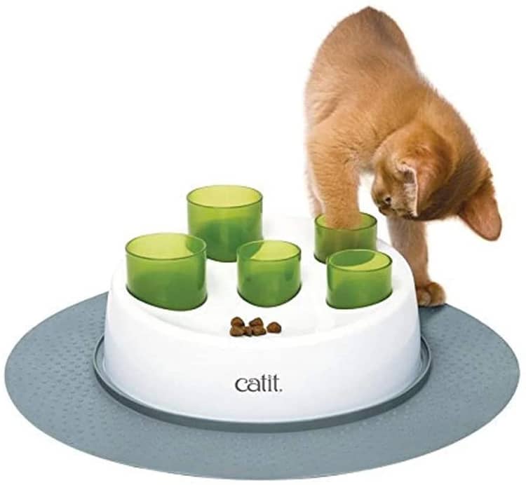 13 Cat Toys To Engage Your Kitty's Brain and Stave Off Boredom