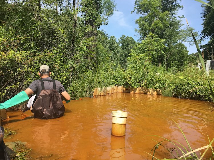 Artist Creates Incredible Paintings from River Pollution [Interview]