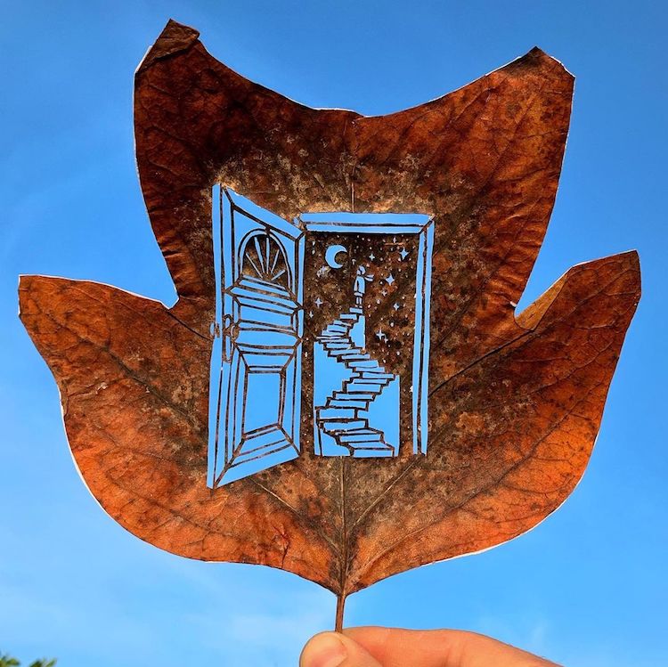 Leaf Cut Out by Kanat Nurtazin