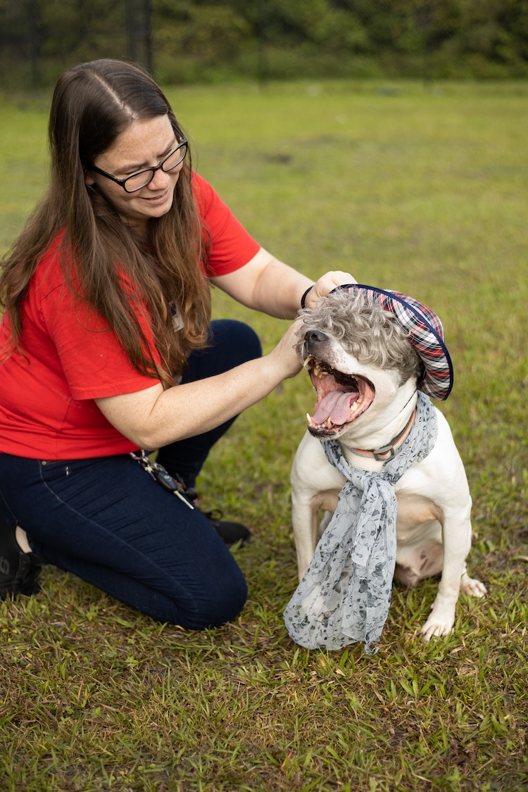 Dogs Dressed as Senior Citizens by Flagler Humane Society