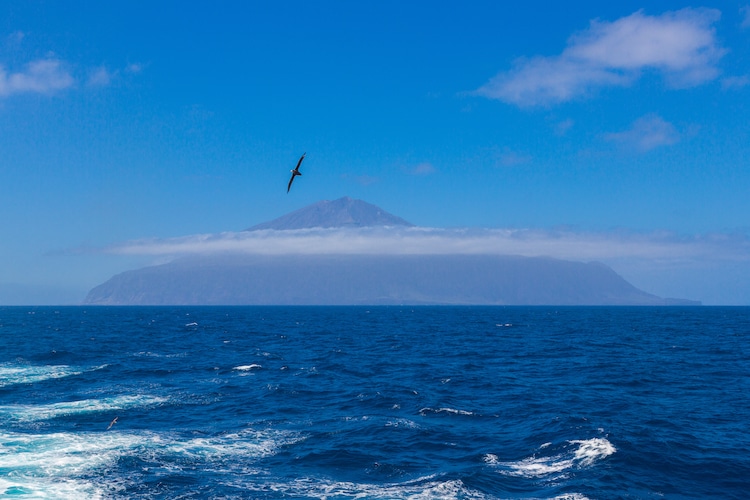 Tristan da Cunha - This Remote Island Will Be One of the Largest Wildlife Sanctuary in the World