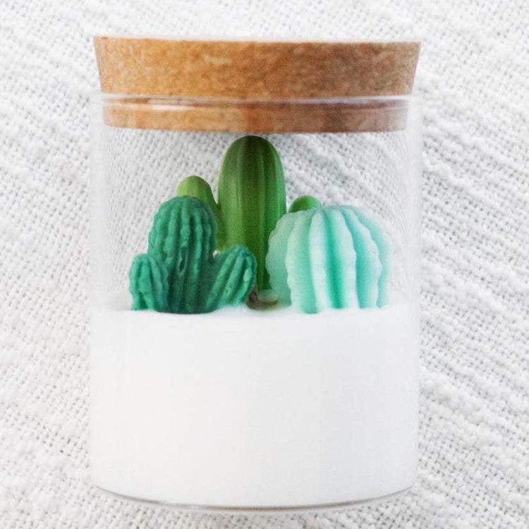 Vela de soya de cactus