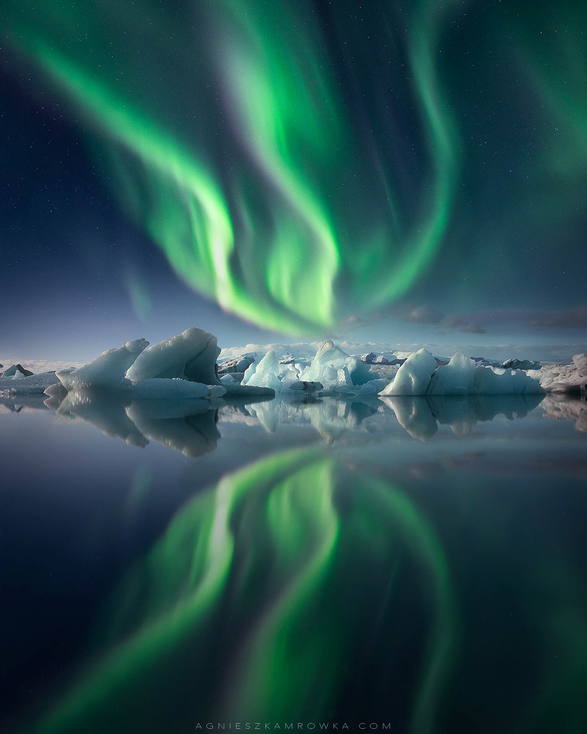 aurora boreal del concurso Photographer of the Year