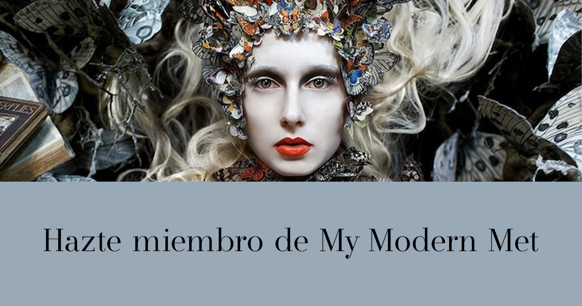 Apoya A La Creatividad Y Conviértete En Miembro De My Modern Met En Español