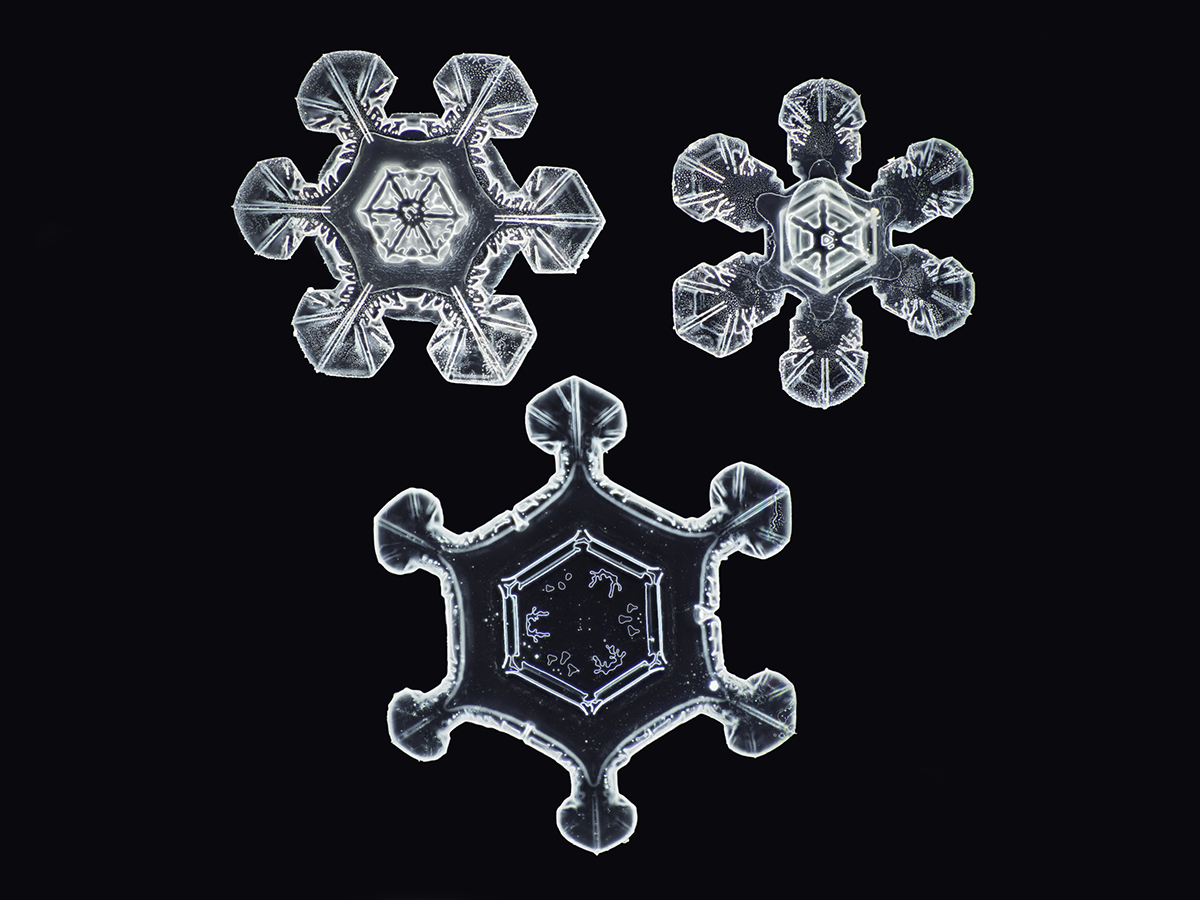 "No Two Alike" Snowflakes by Nathan Myhrvold