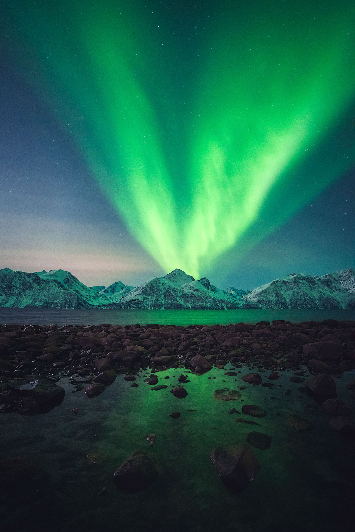 aurora boreal del concurso Photographer of the Year