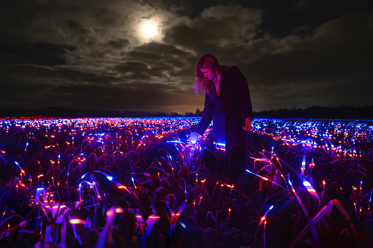 Grow Installation by Daan Roosegaarde 