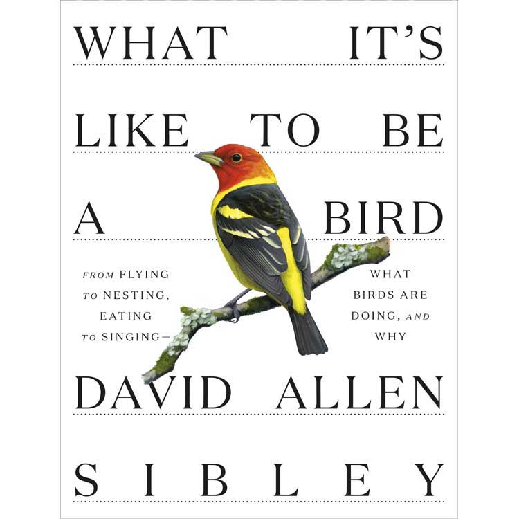 What It's Like to Be a Bird Book