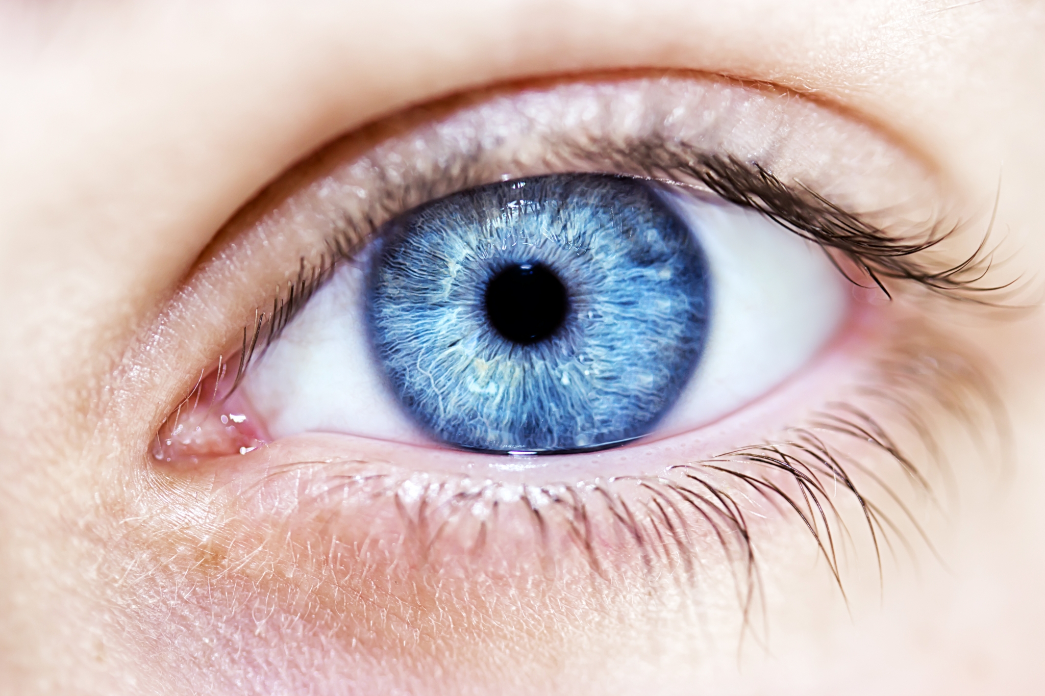 All BlueEyed People Share One Common Ancestor