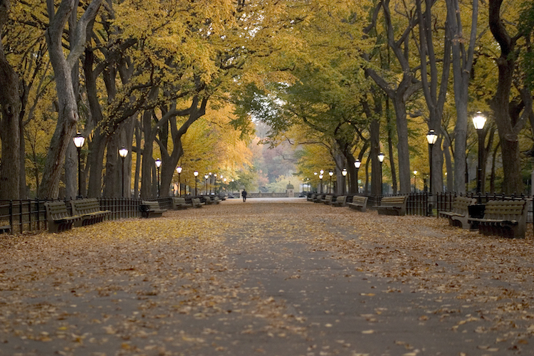 La storia e l'eredità del Central Park di New York