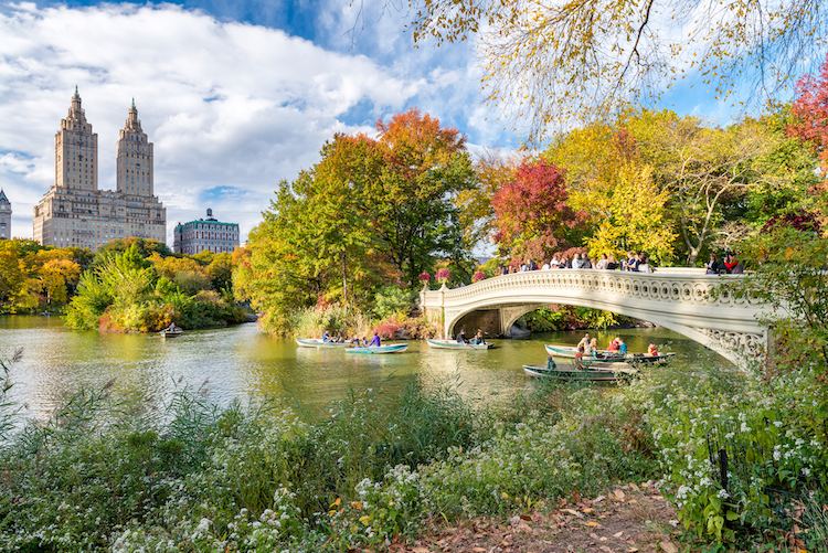 The History and Legacy of NYC's Central Park