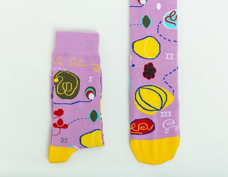 calcetines de arte por Curator Socks