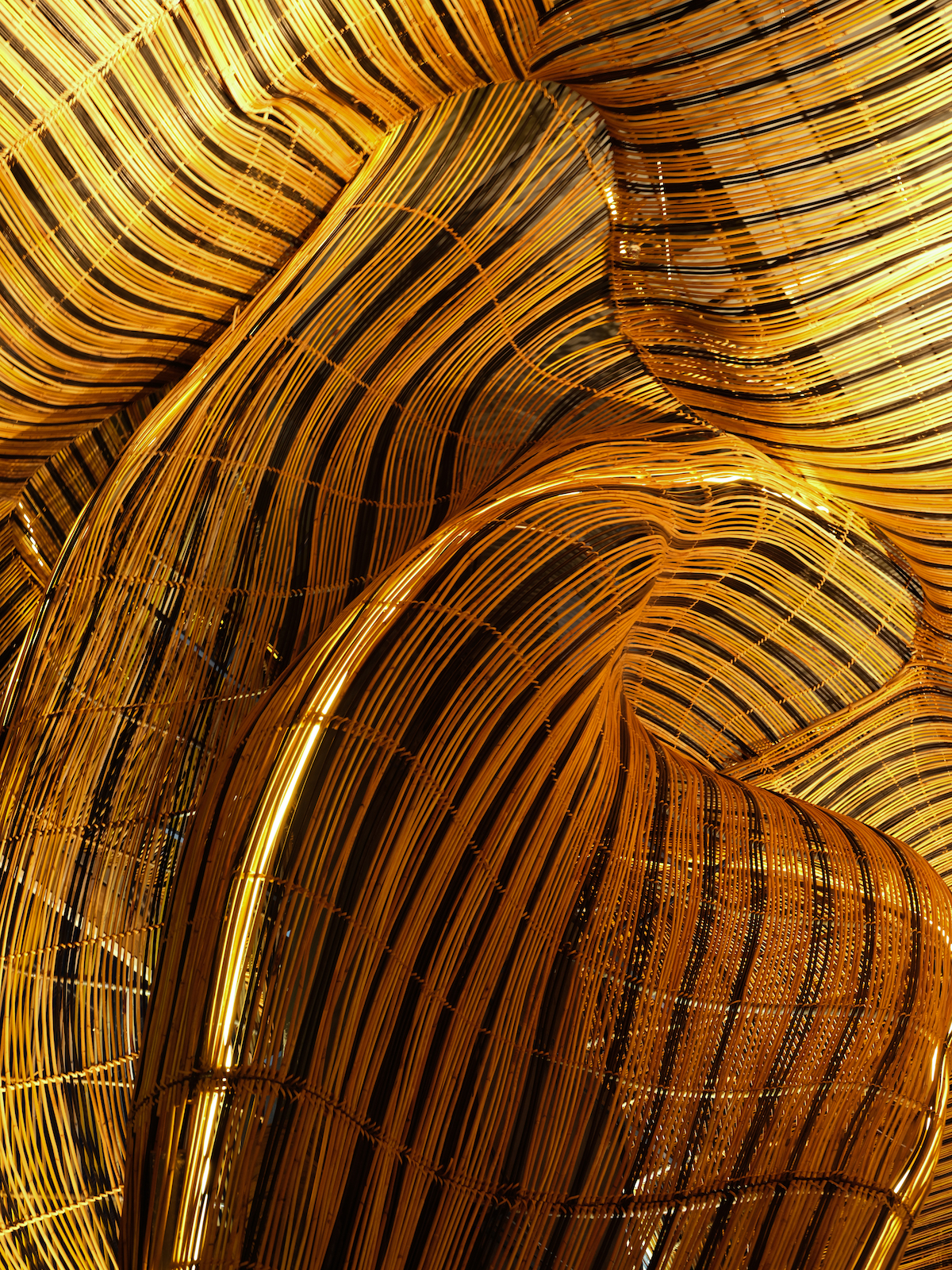 Architects Blend Technology and Craftsmanship to Create These Treelike Rattan Columns