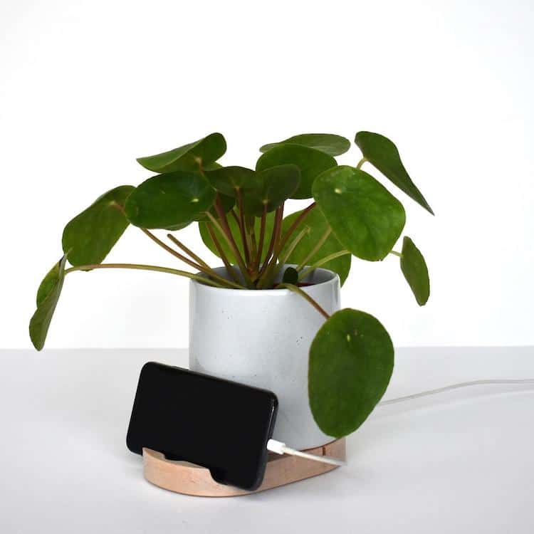 Planter and Phone Charger