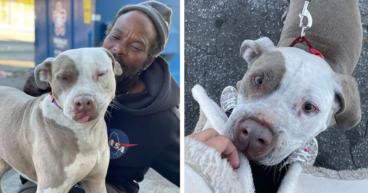 Man Rescues Every Animal From a Shelter After It Caught on Fire - Vimarsana News