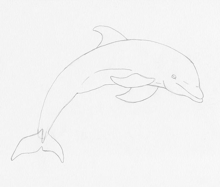 Blue dolphin drawing for logo Stock Illustration | Adobe Stock
