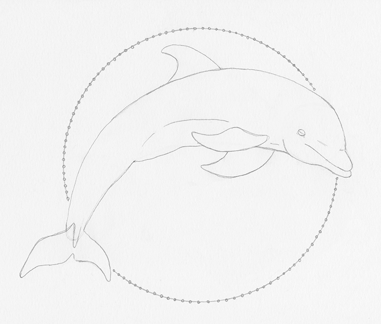 Learn How to Draw a Bottlenose dolphin (Marine Mammals) Step by Step : Drawing  Tutorials