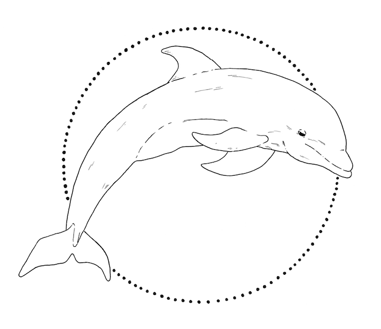 Dolphin Drawing Dolphin Drawing Easy Cute Dolphin Drawing Dolphin Png  Dolphin Transparent Dolph