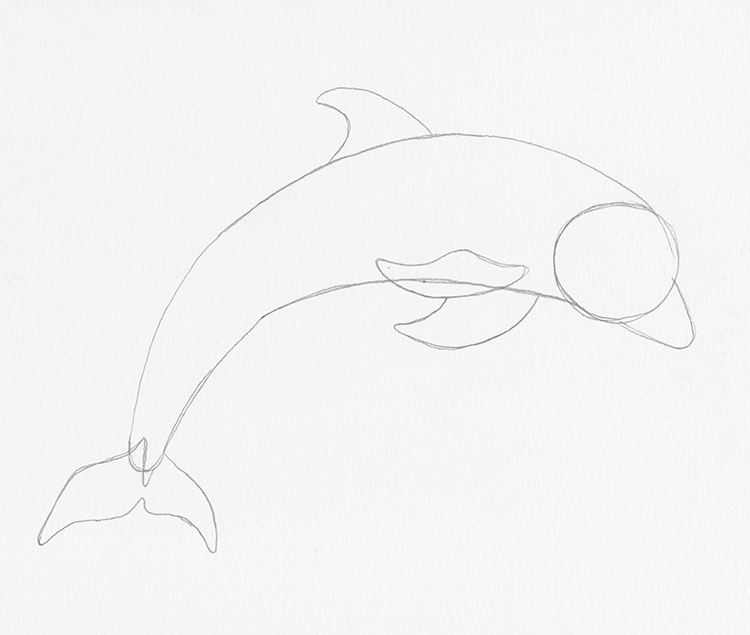 How to Draw a Dolphin