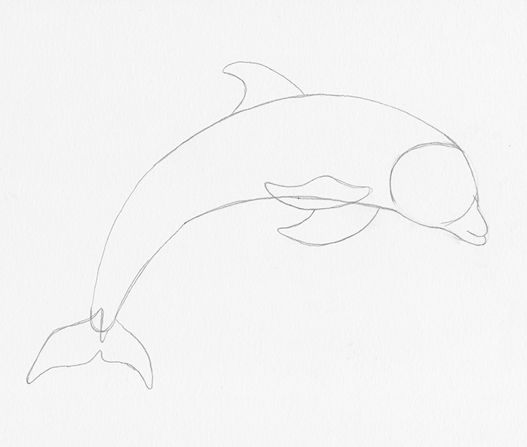 Dolphin Drawing #3 | Patsy's Creative Corner